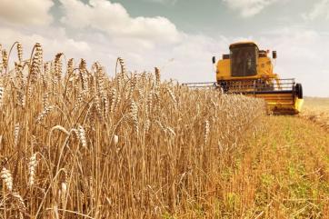 «СовЭкон» прогнозирует антирекордный урожай зерна в России